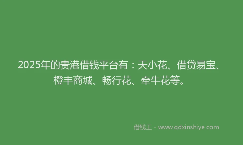 2025年的贵港借钱平台有：天小花、借贷易宝、橙丰商城、畅行花、牵牛花等。