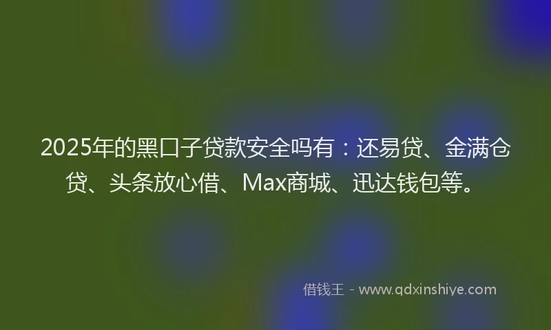 2025年的黑口子贷款安全吗有：还易贷、金满仓贷、头条放心借、Max商城、迅达钱包等。