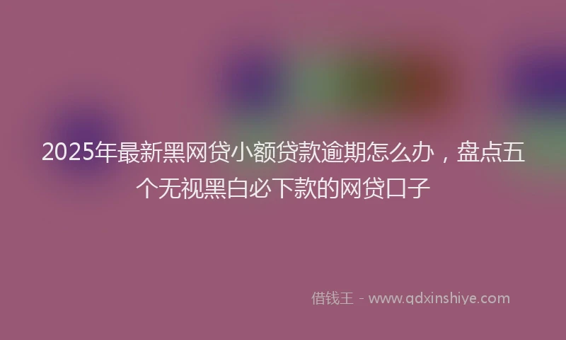 2025年最新黑网贷小额贷款逾期怎么办，盘点五个无视黑白必下款的网贷口子