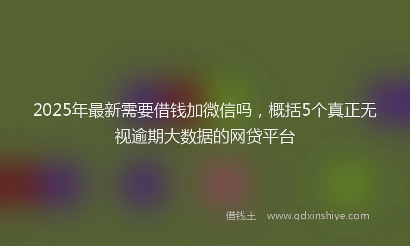 2025年最新需要借钱加微信吗，概括5个真正无视逾期大数据的网贷平台
