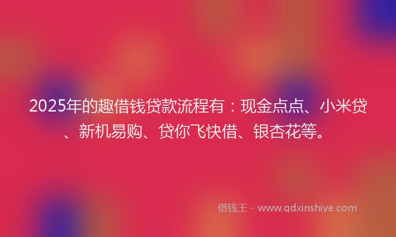 2025年的趣借钱贷款流程有：现金点点、小米贷、新机易购、贷你飞快借、银杏花等。