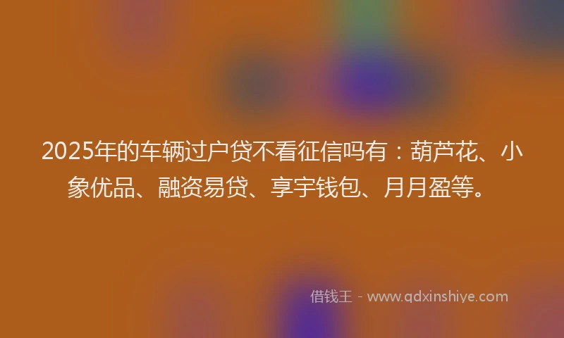2025年的车辆过户贷不看征信吗有：葫芦花、小象优品、融资易贷、享宇钱包、月月盈等。