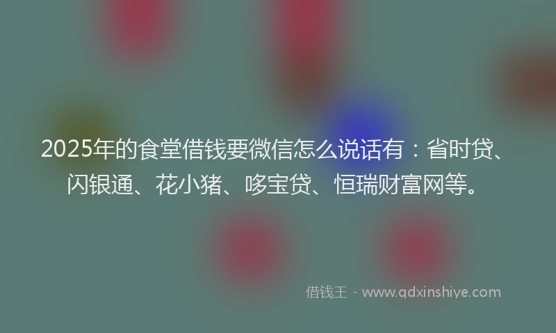 2025年的食堂借钱要微信怎么说话有：省时贷、闪银通、花小猪、哆宝贷、恒瑞财富网等。