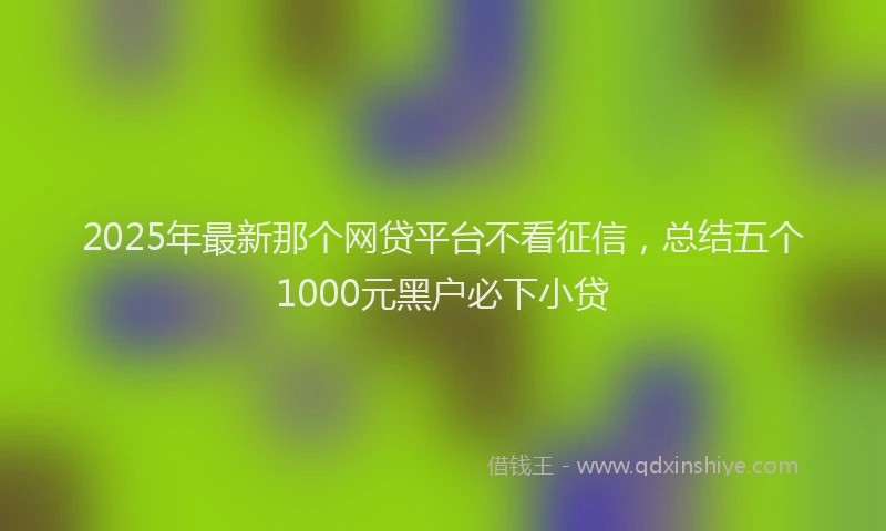 2025年最新那个网贷平台不看征信，总结五个1000元黑户必下小贷