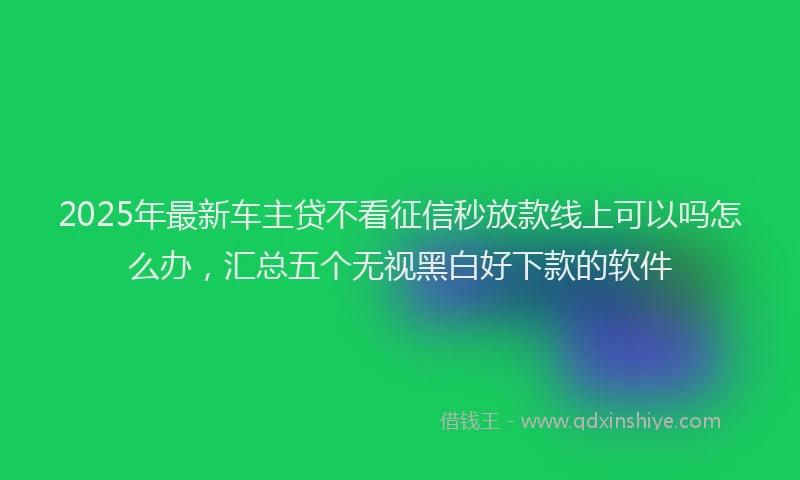 2025年最新车主贷不看征信秒放款线上可以吗怎么办，汇总五个无视黑白好下款的软件