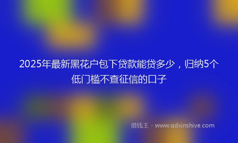 2025年最新黑花户包下贷款能贷多少，归纳5个低门槛不查征信的口子