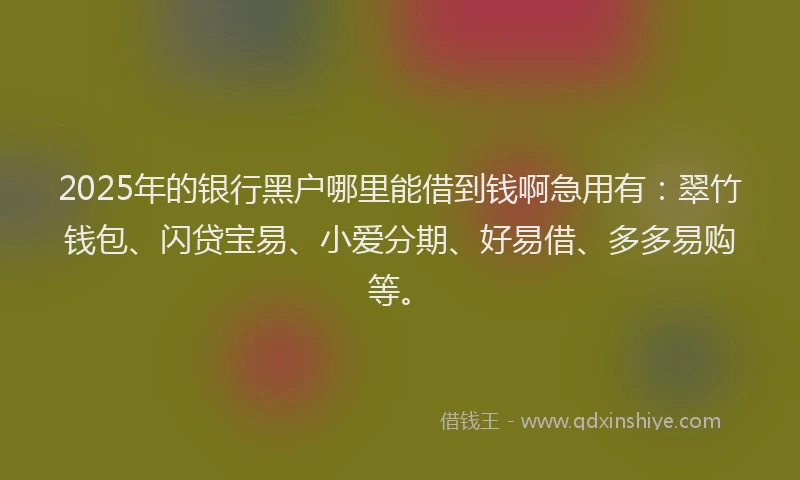 2025年的银行黑户哪里能借到钱啊急用有：翠竹钱包、闪贷宝易、小爱分期、好易借、多多易购等。