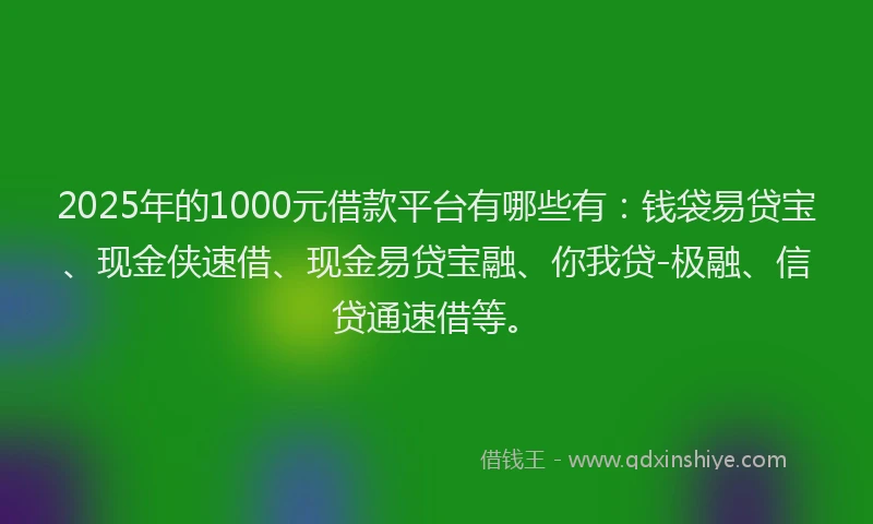 2025年的1000元借款平台有哪些有：钱袋易贷宝、现金侠速借、现金易贷宝融、你我贷-极融、信贷通速借等。