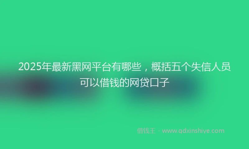 2025年最新黑网平台有哪些，概括五个失信人员可以借钱的网贷口子