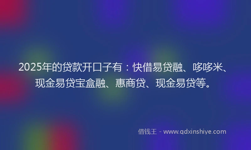 2025年的贷款开口子有：快借易贷融、哆哆米、现金易贷宝盒融、惠商贷、现金易贷等。