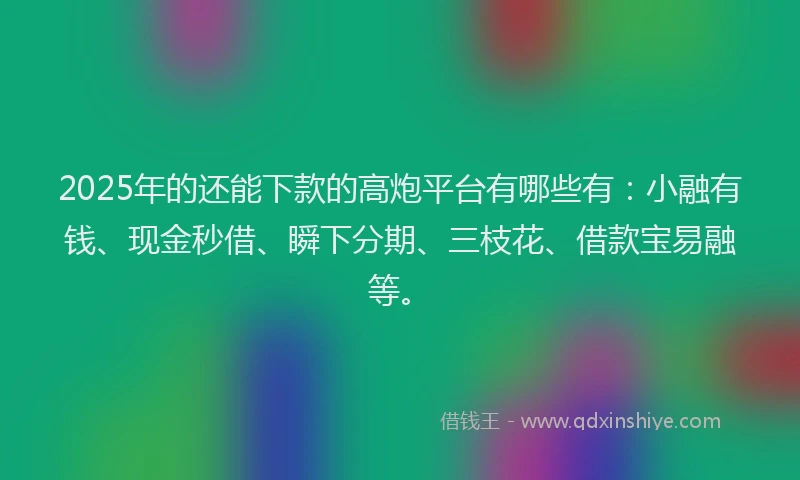2025年的还能下款的高炮平台有哪些有：小融有钱、现金秒借、瞬下分期、三枝花、借款宝易融等。