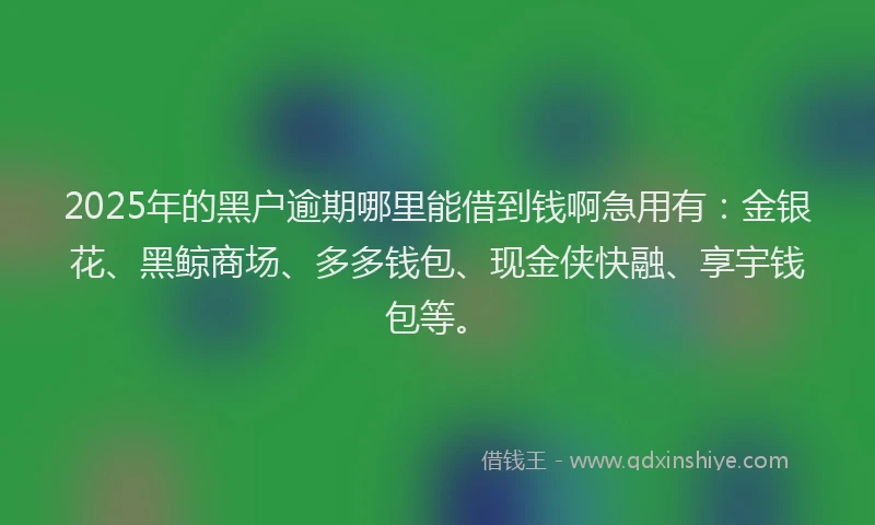 2025年的黑户逾期哪里能借到钱啊急用有：金银花、黑鲸商场、多多钱包、现金侠快融、享宇钱包等。