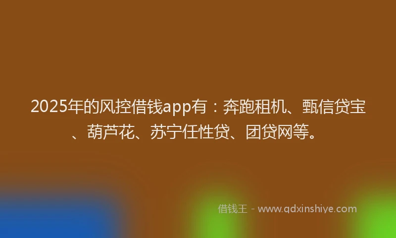 2025年的风控借钱app有：奔跑租机、甄信贷宝、葫芦花、苏宁任性贷、团贷网等。