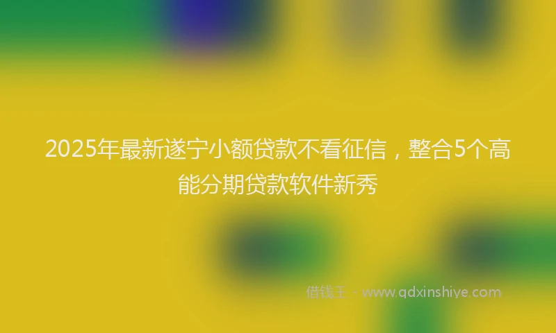 2025年最新遂宁小额贷款不看征信，整合5个高能分期贷款软件新秀