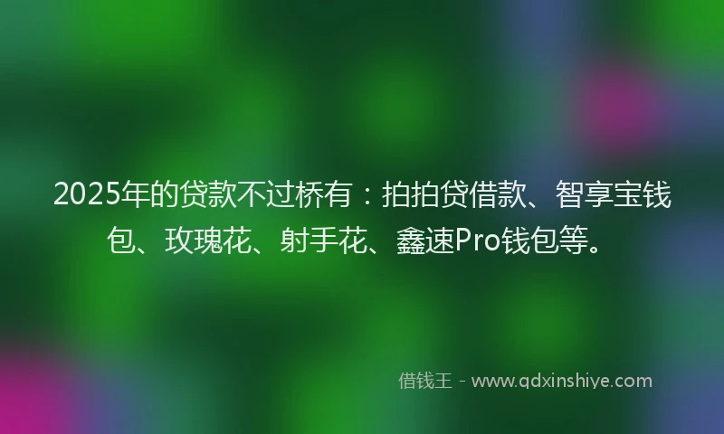 2025年的贷款不过桥有：拍拍贷借款、智享宝钱包、玫瑰花、射手花、鑫速Pro钱包等。