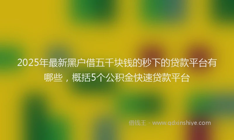2025年最新黑户借五千块钱的秒下的贷款平台有哪些，概括5个公积金快速贷款平台
