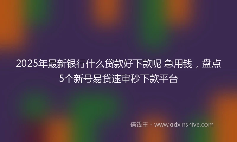 2025年最新银行什么贷款好下款呢 急用钱，盘点5个新号易贷速审秒下款平台