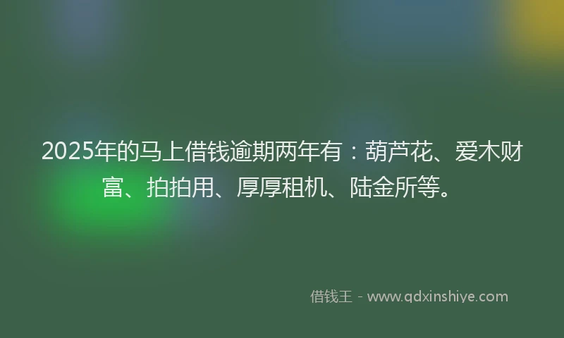 2025年的马上借钱逾期两年有：葫芦花、爱木财富、拍拍用、厚厚租机、陆金所等。