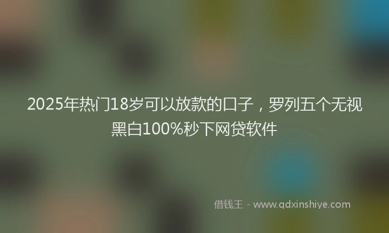 2025年热门18岁可以放款的口子，罗列五个无视黑白100%秒下网贷软件