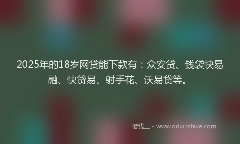 2025年的18岁网贷能下款有：众安贷、钱袋快易融、快贷易、射手花、沃易贷等。