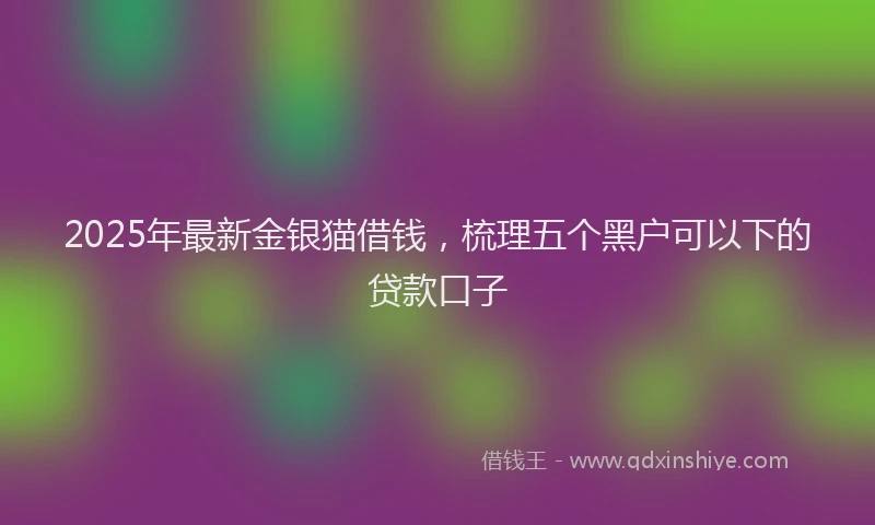 2025年最新金银猫借钱，梳理五个黑户可以下的贷款口子