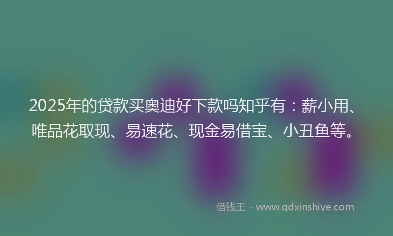 2025年的贷款买奥迪好下款吗知乎有：薪小用、唯品花取现、易速花、现金易借宝、小丑鱼等。