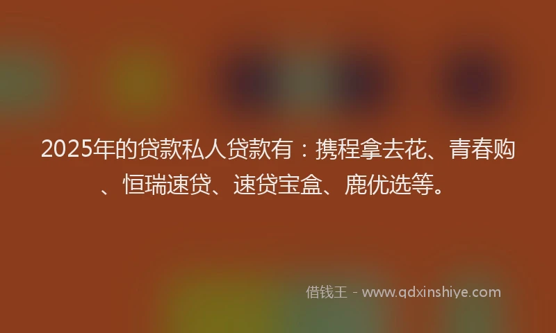 2025年的贷款私人贷款有：携程拿去花、青春购、恒瑞速贷、速贷宝盒、鹿优选等。
