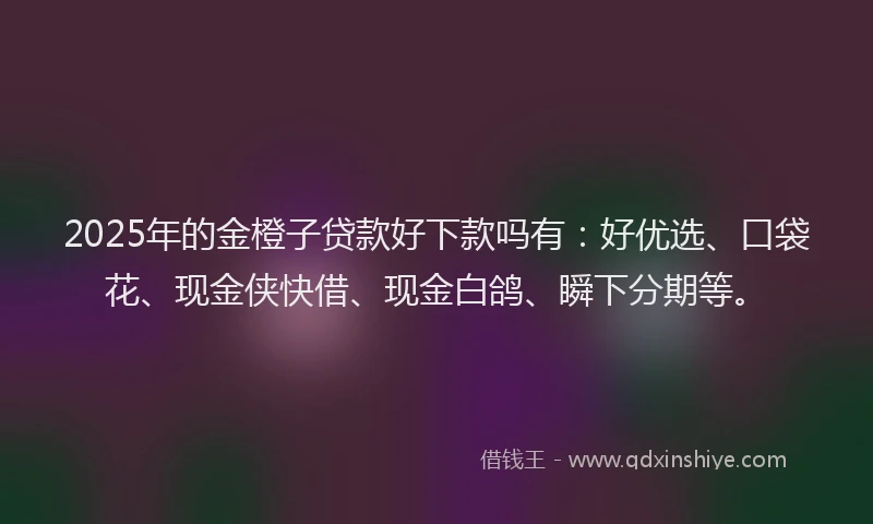 2025年的金橙子贷款好下款吗有：好优选、口袋花、现金侠快借、现金白鸽、瞬下分期等。