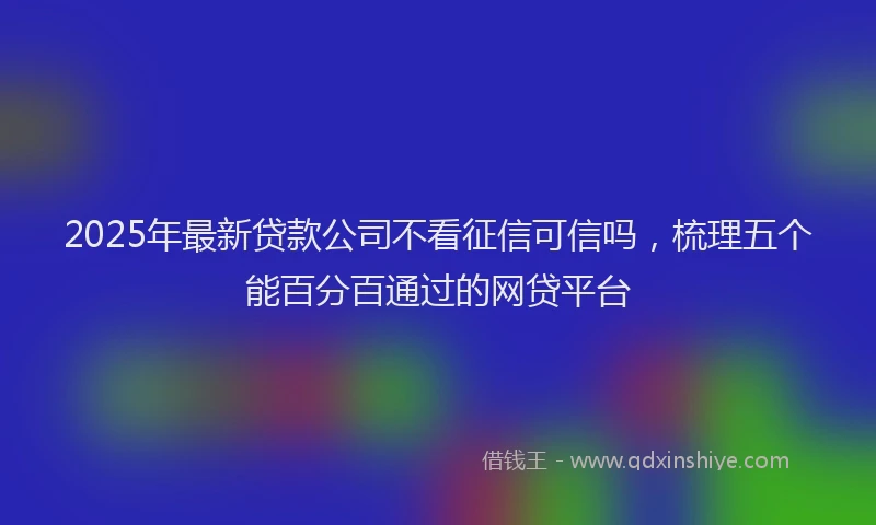 2025年最新贷款公司不看征信可信吗，梳理五个能百分百通过的网贷平台