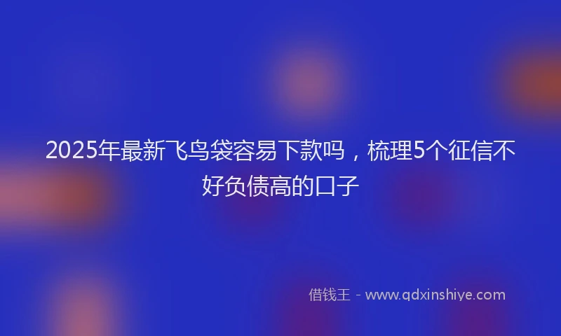2025年最新飞鸟袋容易下款吗，梳理5个征信不好负债高的口子