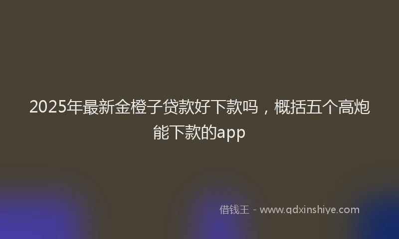 2025年最新金橙子贷款好下款吗，概括五个高炮能下款的app