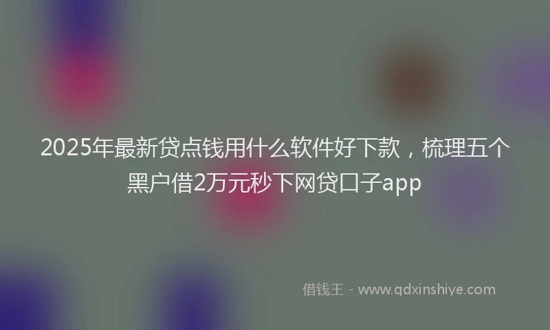2025年最新贷点钱用什么软件好下款，梳理五个黑户借2万元秒下网贷口子app