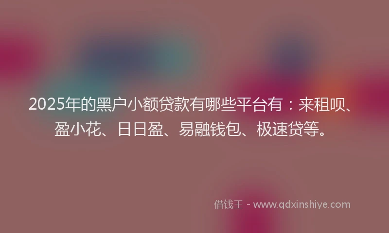 2025年的黑户小额贷款有哪些平台有：来租呗、盈小花、日日盈、易融钱包、极速贷等。