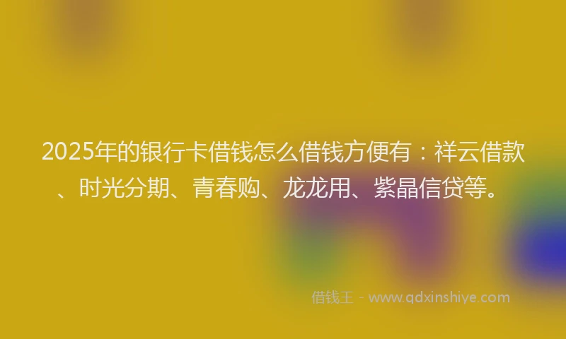 2025年的银行卡借钱怎么借钱方便有：祥云借款、时光分期、青春购、龙龙用、紫晶信贷等。