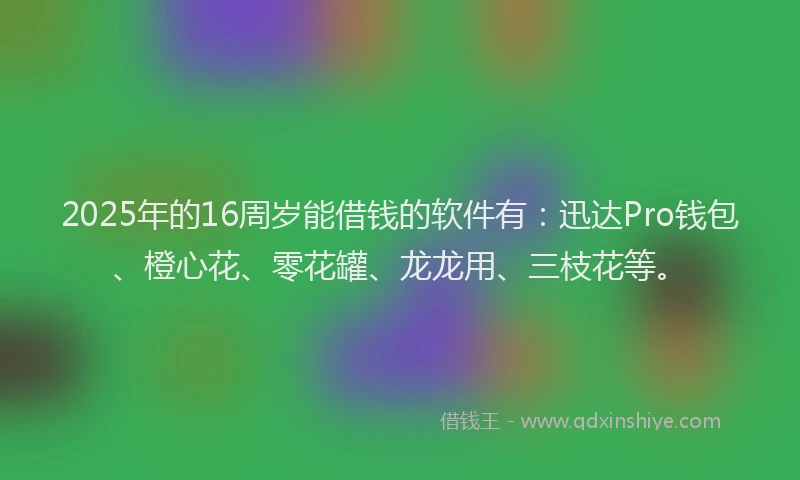 2025年的16周岁能借钱的软件有：迅达Pro钱包、橙心花、零花罐、龙龙用、三枝花等。