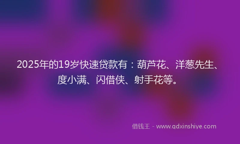 2025年的19岁快速贷款有：葫芦花、洋葱先生、度小满、闪借侠、射手花等。