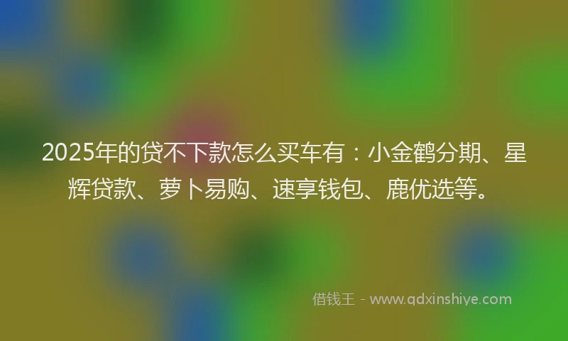 2025年的贷不下款怎么买车有：小金鹤分期、星辉贷款、萝卜易购、速享钱包、鹿优选等。