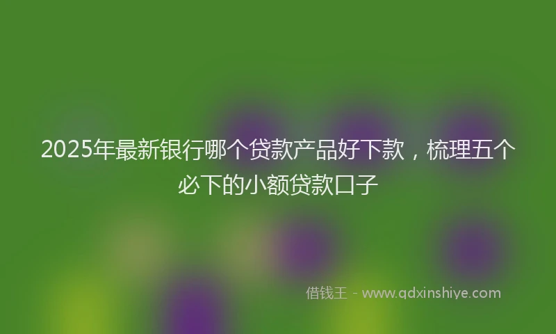 2025年最新银行哪个贷款产品好下款，梳理五个必下的小额贷款口子