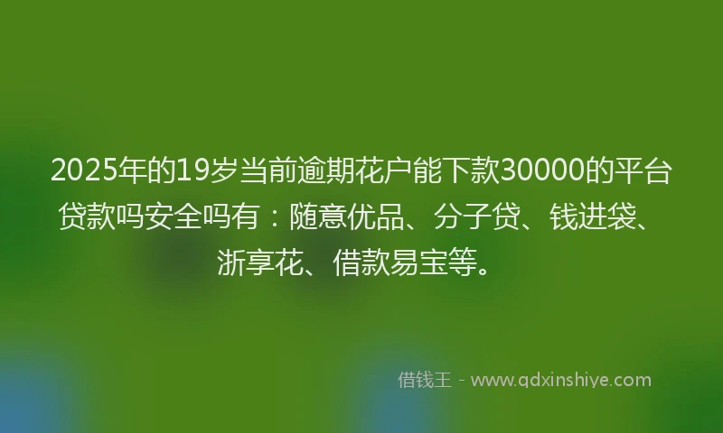 2025年的19岁当前逾期花户能下款30000的平台贷款吗安全吗有：随意优品、分子贷、钱进袋、浙享花、借款易宝等。