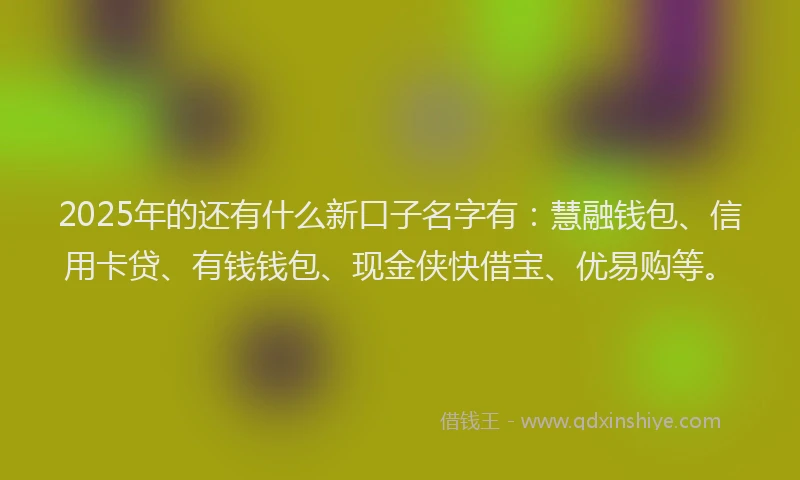 2025年的还有什么新口子名字有：慧融钱包、信用卡贷、有钱钱包、现金侠快借宝、优易购等。