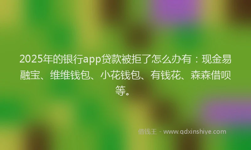2025年的银行app贷款被拒了怎么办有：现金易融宝、维维钱包、小花钱包、有钱花、森森借呗等。