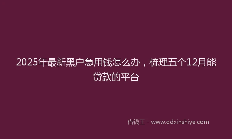2025年最新黑户急用钱怎么办，梳理五个12月能贷款的平台