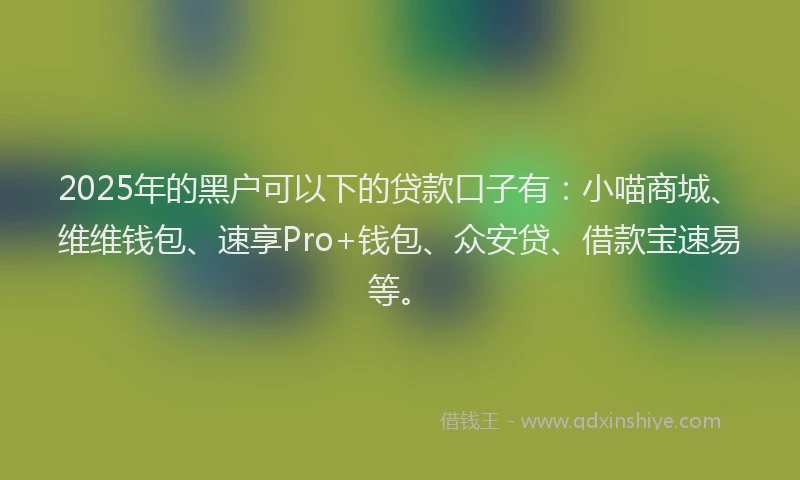 2025年的黑户可以下的贷款口子有：小喵商城、维维钱包、速享Pro+钱包、众安贷、借款宝速易等。