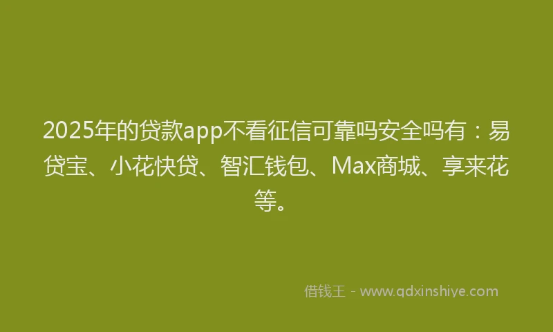 2025年的贷款app不看征信可靠吗安全吗有：易贷宝、小花快贷、智汇钱包、Max商城、享来花等。