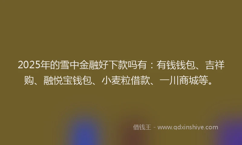 2025年的雪中金融好下款吗有：有钱钱包、吉祥购、融悦宝钱包、小麦粒借款、一川商城等。