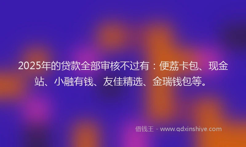 2025年的贷款全部审核不过有：便荔卡包、现金站、小融有钱、友佳精选、金瑞钱包等。
