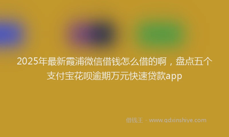 2025年最新霞浦微信借钱怎么借的啊，盘点五个支付宝花呗逾期万元快速贷款app