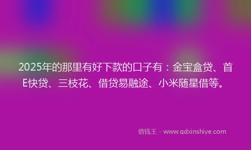 2025年的那里有好下款的口子有：金宝盒贷、首E快贷、三枝花、借贷易融途、小米随星借等。