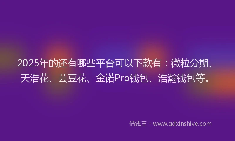 2025年的还有哪些平台可以下款有：微粒分期、天浩花、芸豆花、金诺Pro钱包、浩瀚钱包等。