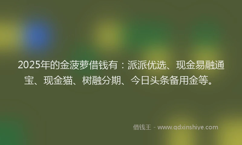 2025年的金菠萝借钱有：派派优选、现金易融通宝、现金猫、树融分期、今日头条备用金等。